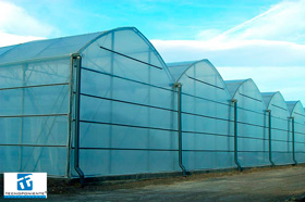 Gothic greenhouses