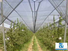 Greenhouse assembly Morocco