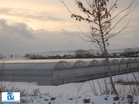 Snow greenhouse in Russia